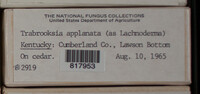 Image Associated With the Occurence